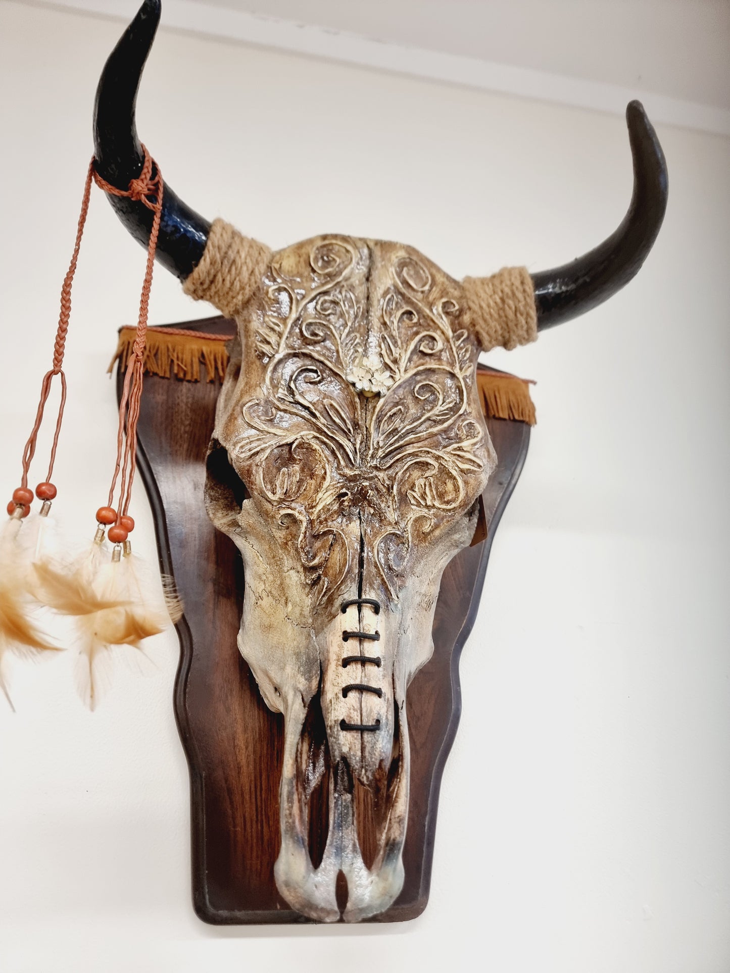 Cattle Skull Art Decor