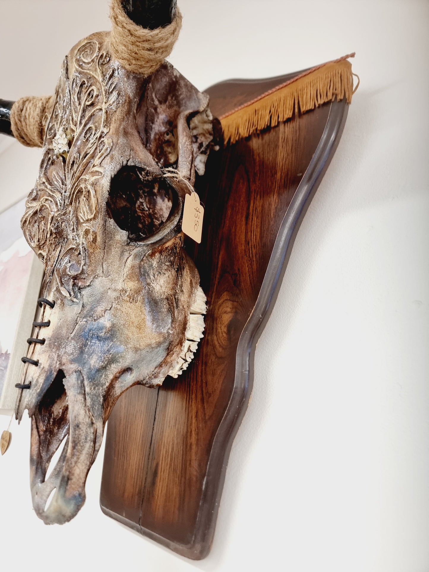 Cattle Skull Art Decor