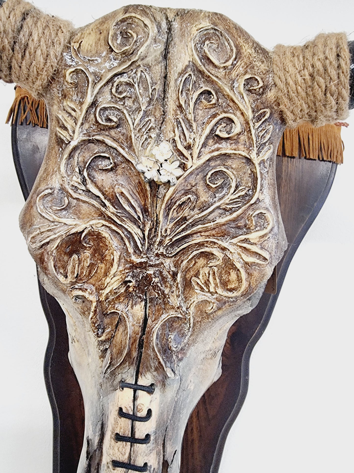 Cattle Skull Art Decor