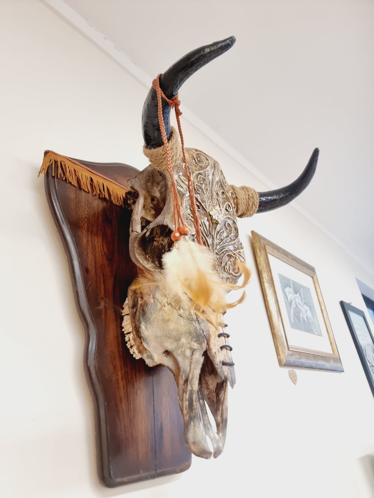 Cattle Skull Art Decor