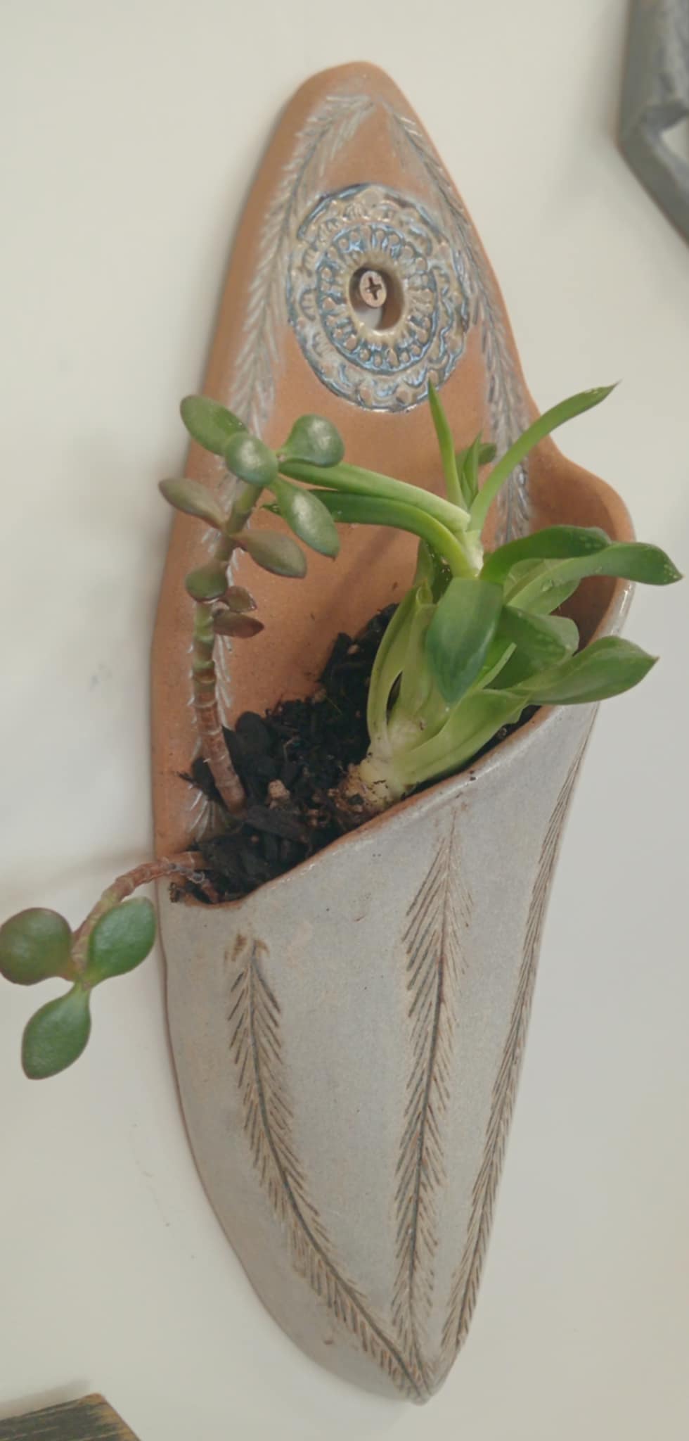 Ceramic wall hung Planter/Vase - Paula Saunders