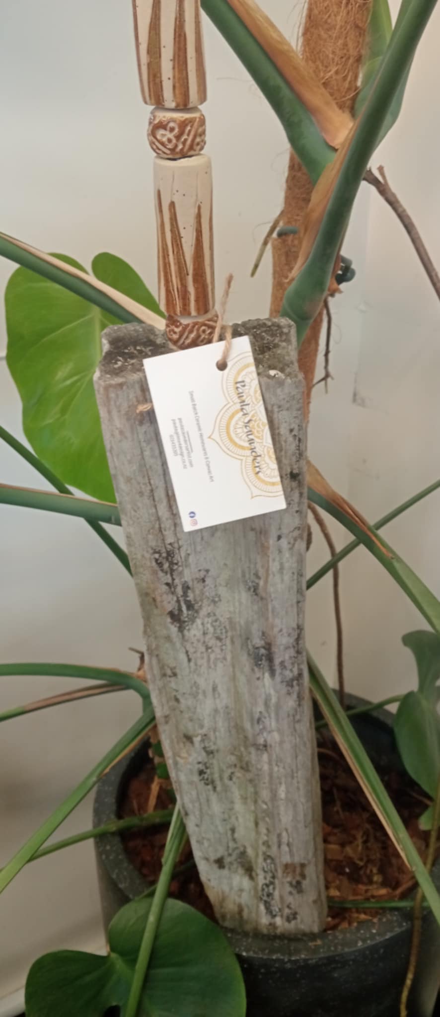 Aged Totara 'Toe-toe' Garden Totem- Paula Saunders